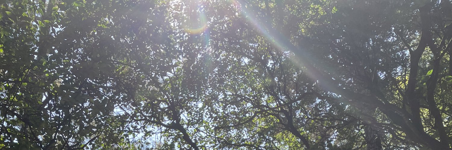 jimensaa's profile banner image