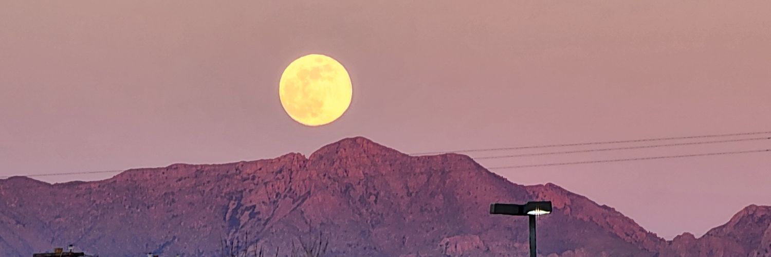 BolgarZimmerman's profile banner image