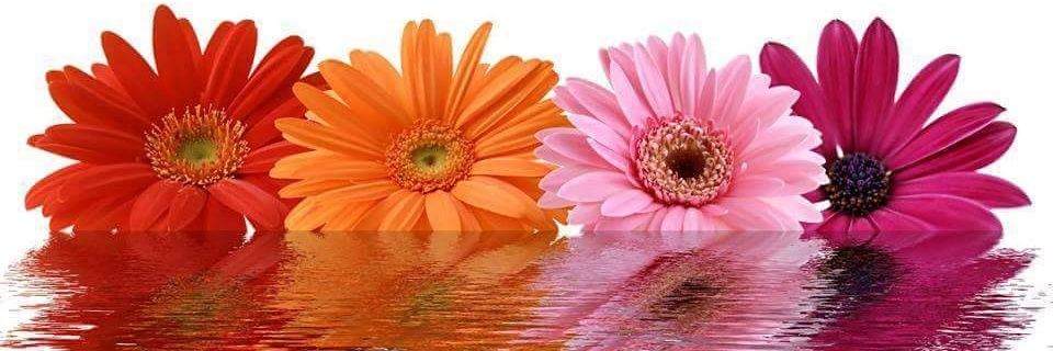 katica_leal's profile banner image