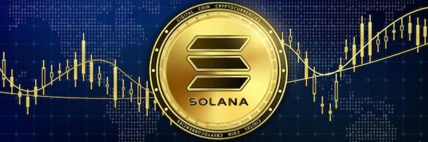 cryptoking_786's profile banner image