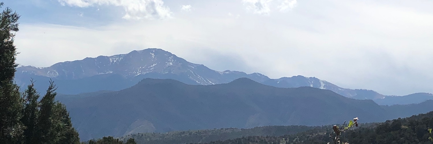 Mal_little's profile banner image