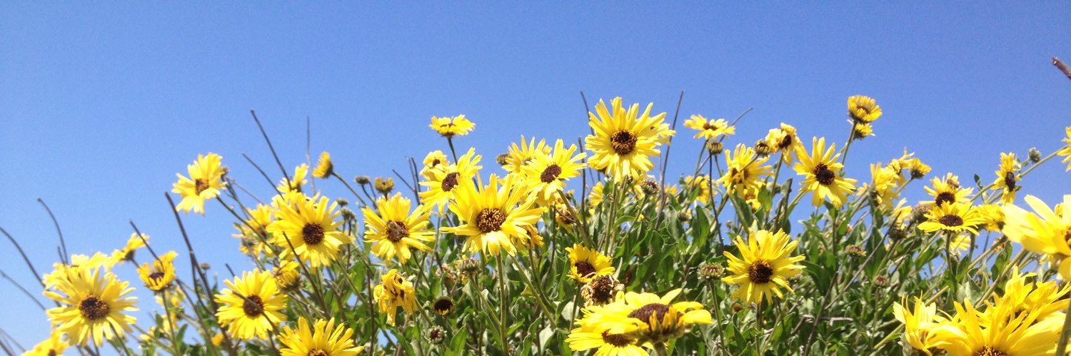 AmyCam13's profile banner image