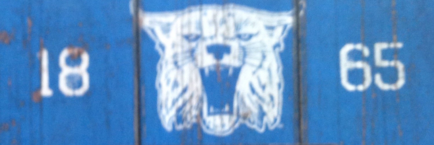 BigBlueCatDaddy's profile banner image