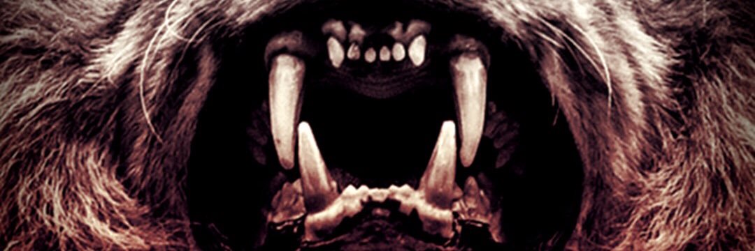 B3zgg's profile banner image