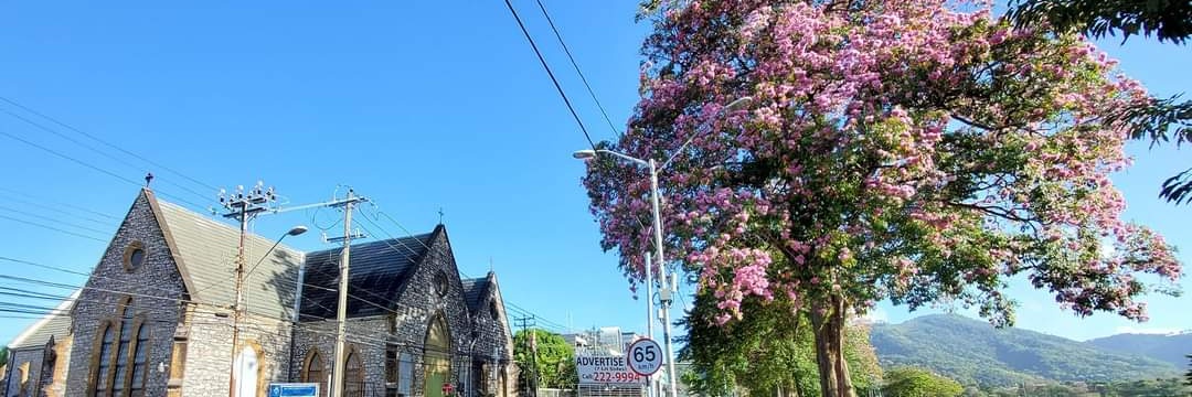 Ramps 🫶🏾 banner