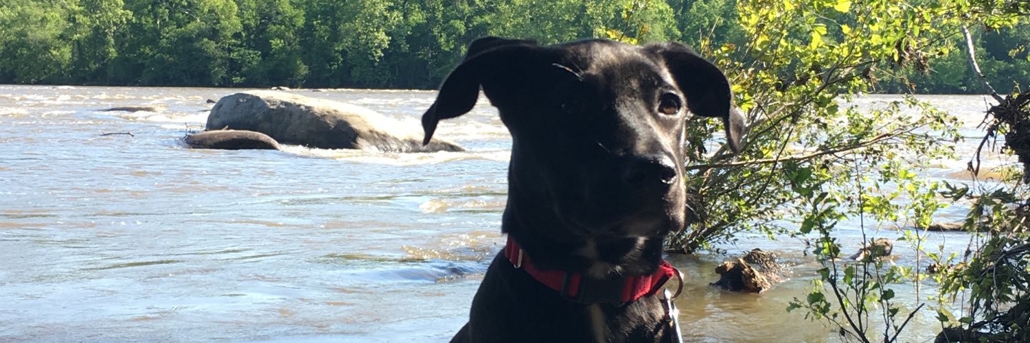 madmillzz's profile banner image