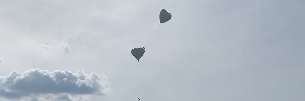 Annette Theis | SL banner