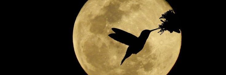 alew1323's profile banner image