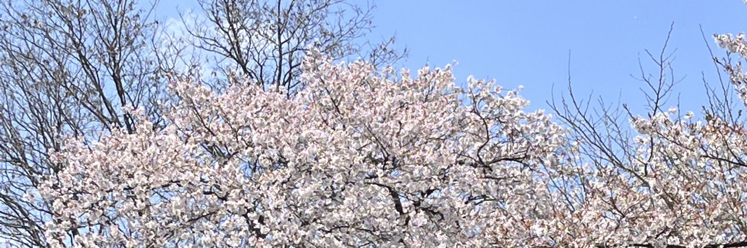 van_smans's profile banner image