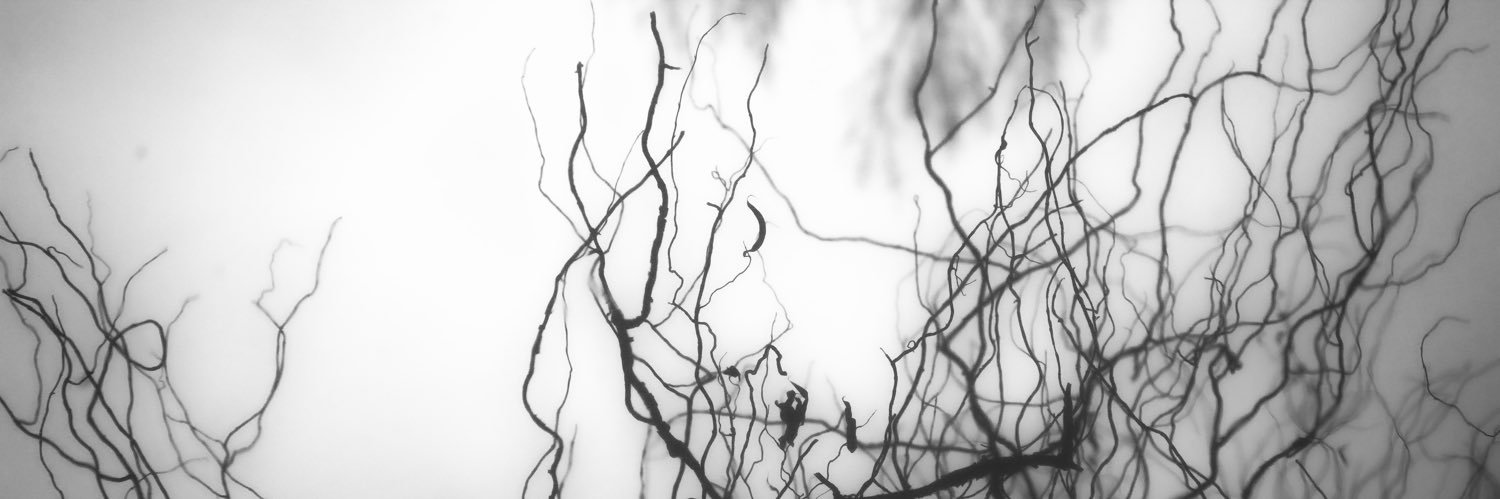 riverteethmusic's profile banner image