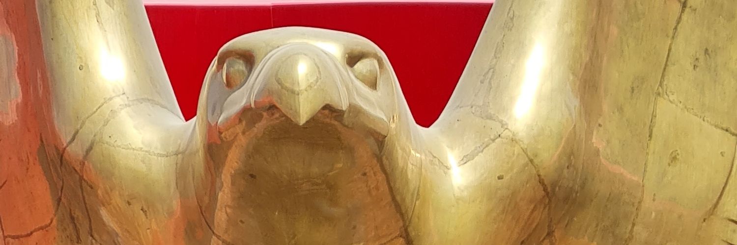 mostafam2's profile banner image