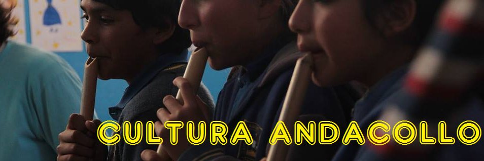 andacollo's profile banner image