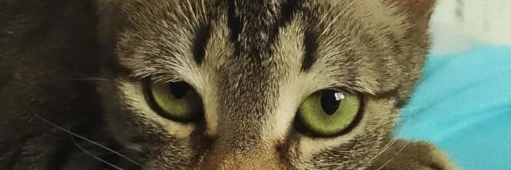 ROLON365's profile banner image