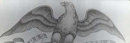 Raphael Gomes banner