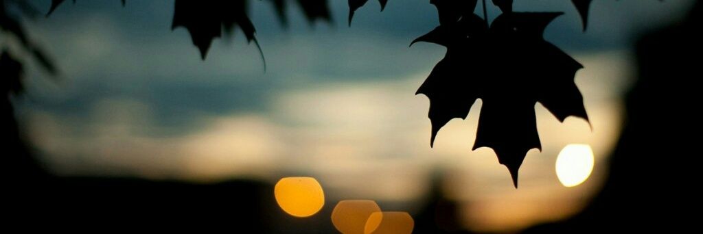 f_broke's profile banner image