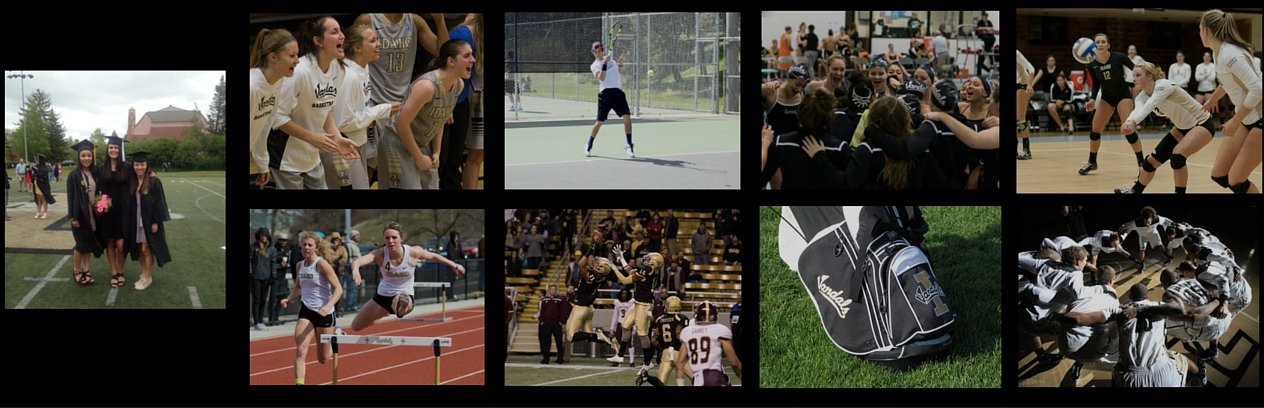 VandalAcademics's profile banner image