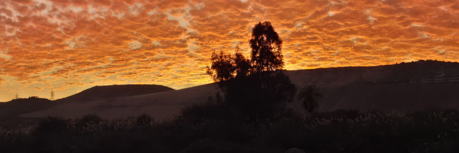 Danizamira's profile banner image