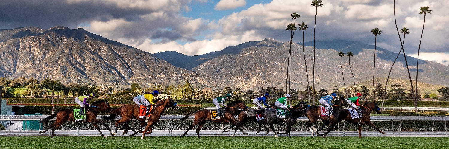 Santa Anita Park banner