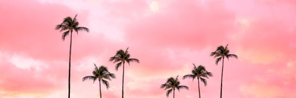 __CierraMonique's profile banner image