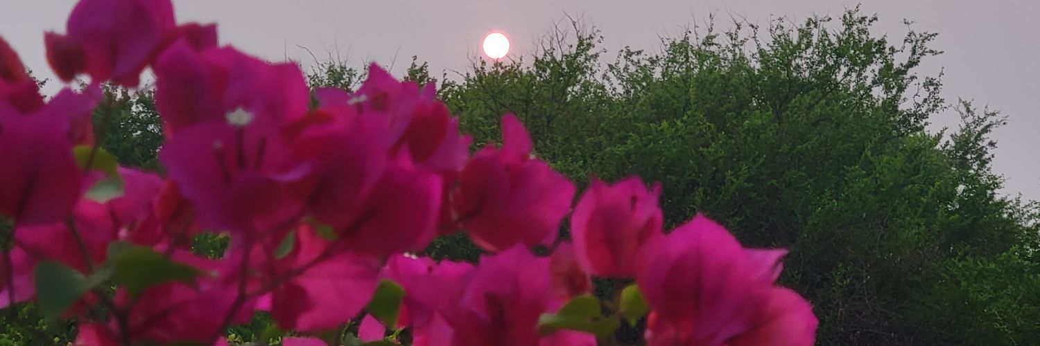 astrid5__'s profile banner image