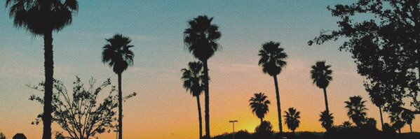 MaddiFonteyne's profile banner image