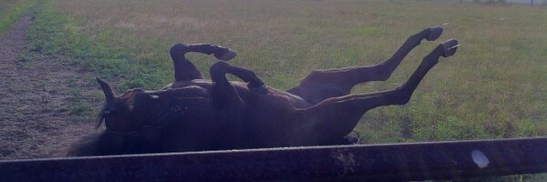 standardgenx Profile Banner