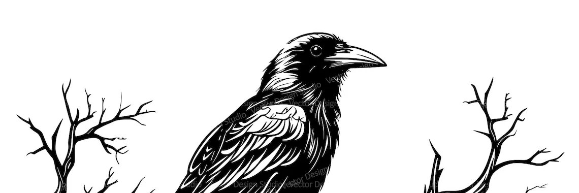 Alex1979Gdl's profile banner image