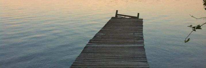 CindyNFreeman's profile banner image