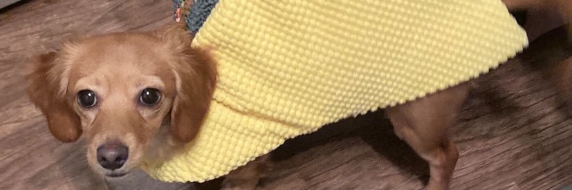 Nora_Nguyen's profile banner image