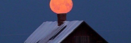 o4411111's profile banner image