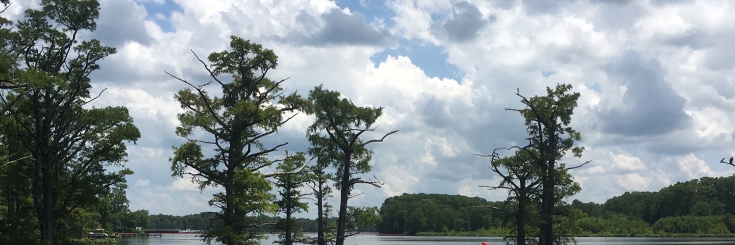 AllenKarley's profile banner image