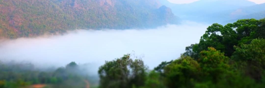 Pattyzaa17's profile banner image