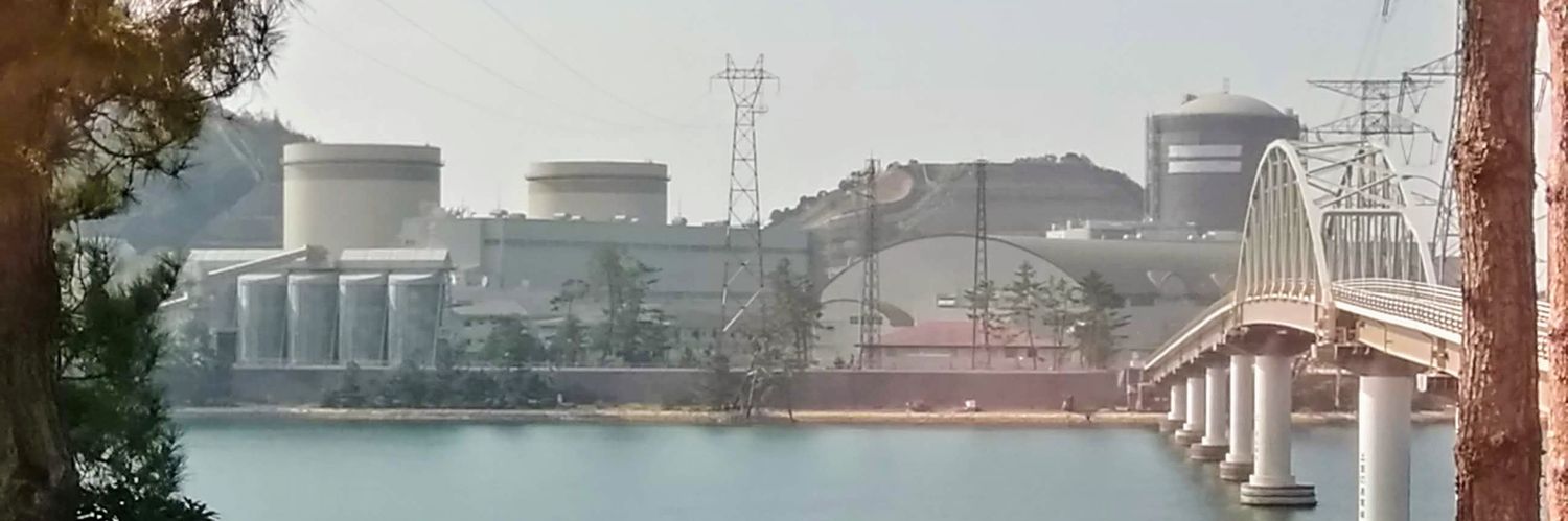 ぴっぴ＠猫の下僕 banner