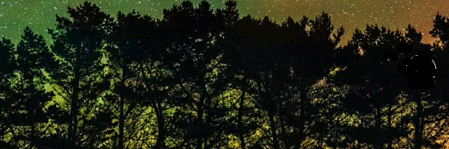 ColtonBonner's profile banner image