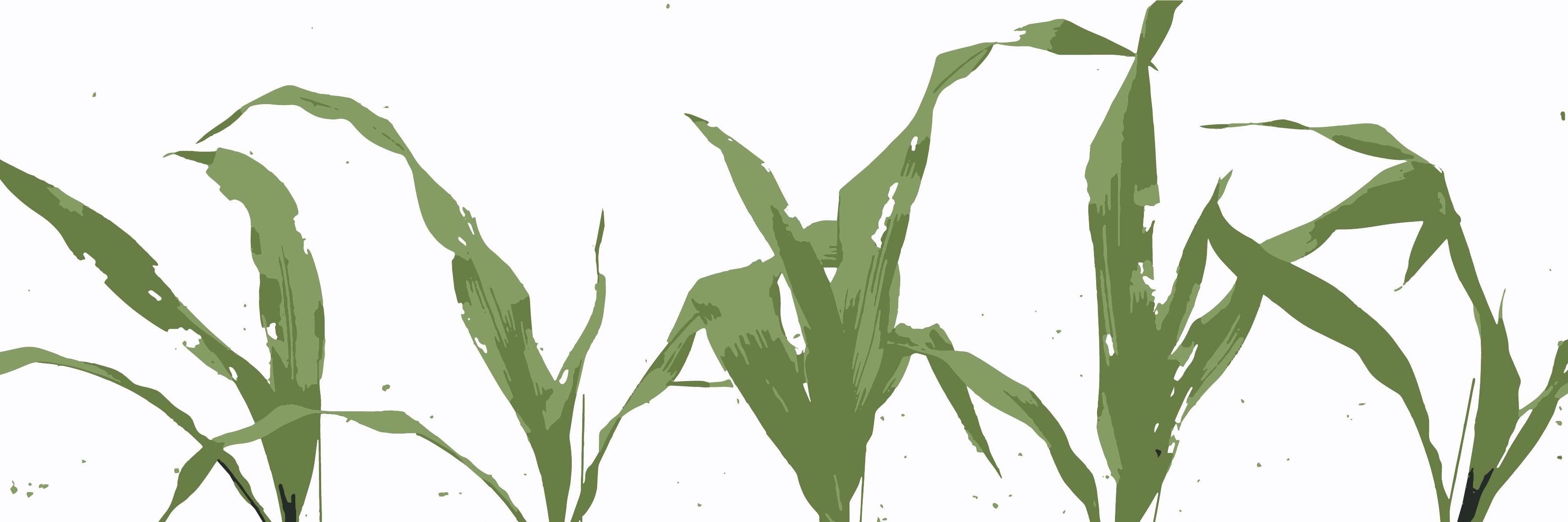 eli_zab_rowen's profile banner image