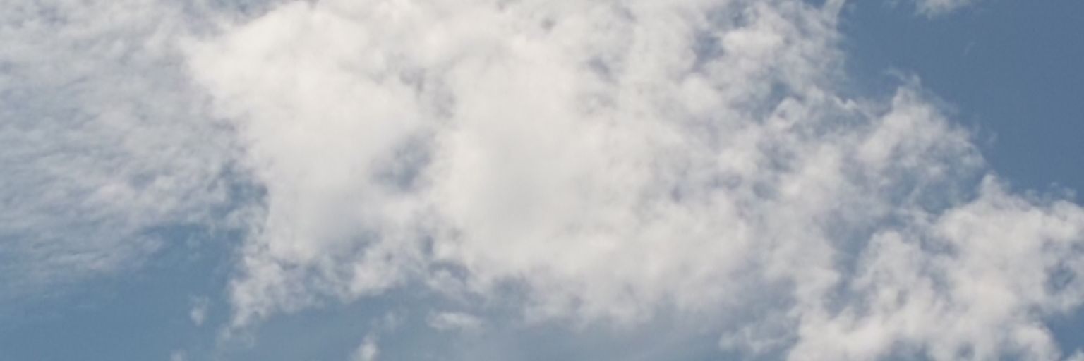 Ro 🤠🌶️ banner