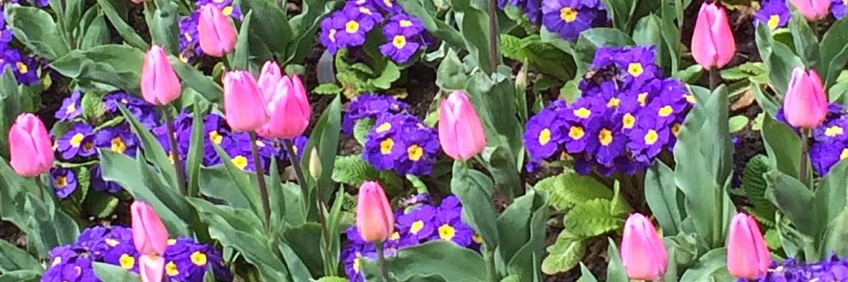 MrsEmilyCarnes's profile banner image