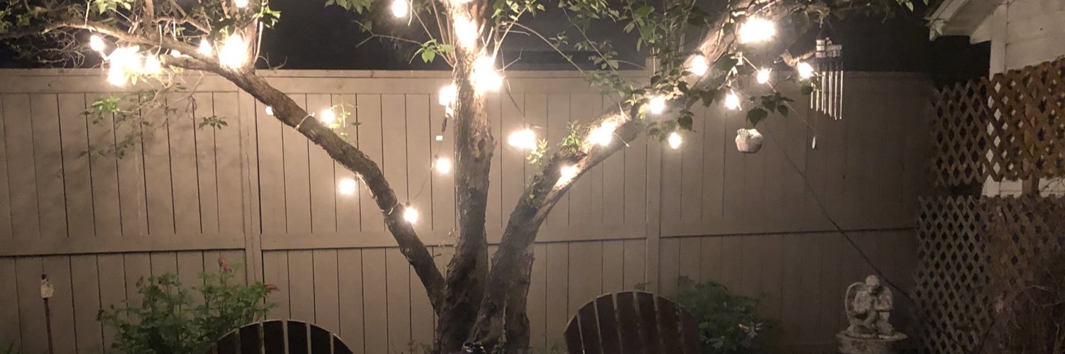 Cheryl and a lot of cats banner