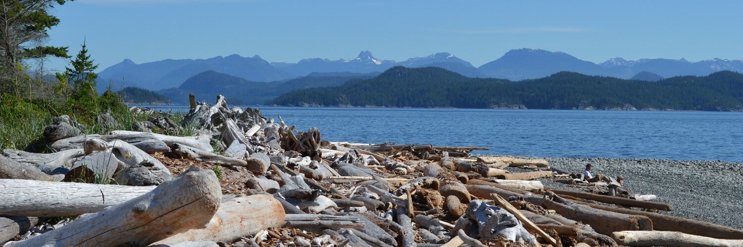 reallybigcoast's profile banner image