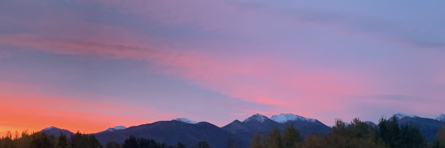 sarinabean_'s profile banner image