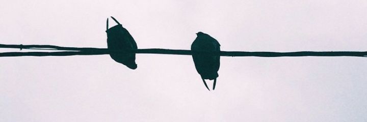 Mohsenault's profile banner image