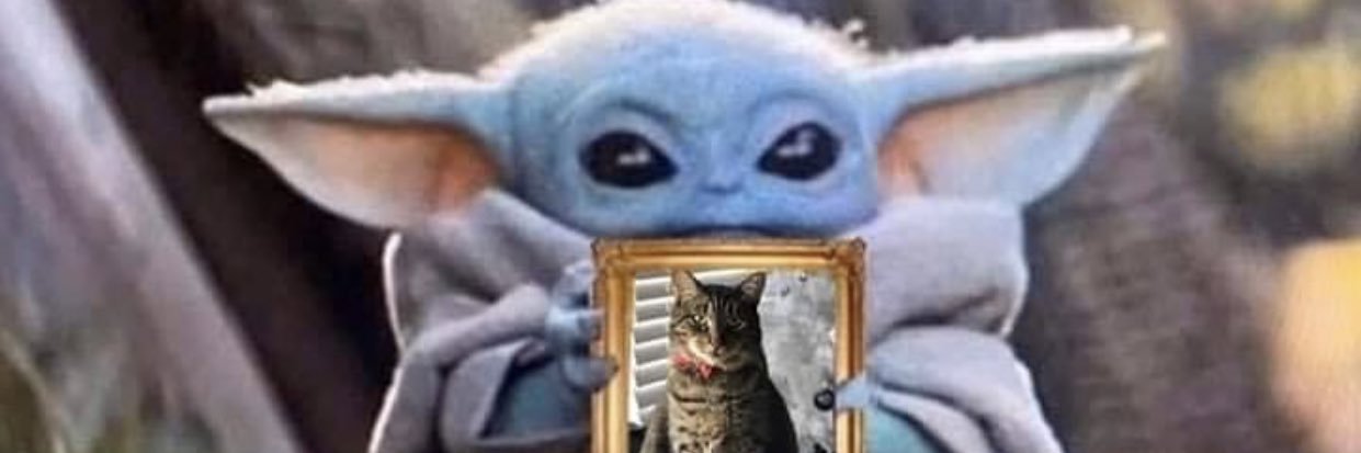 iamcartyc's profile banner image