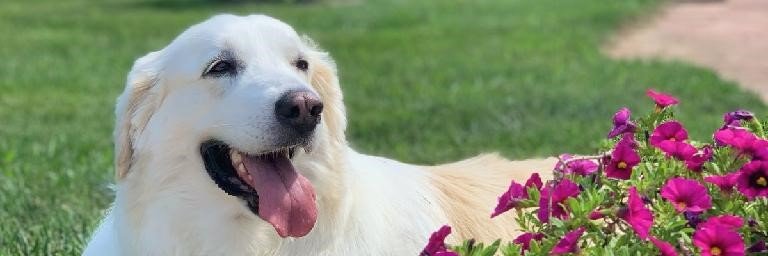 vlbanks's profile banner image