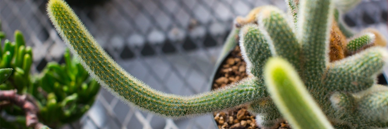 USDBiology's profile banner image