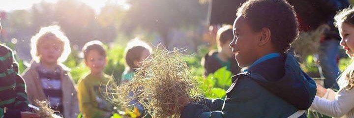 Moss Haven Farm banner