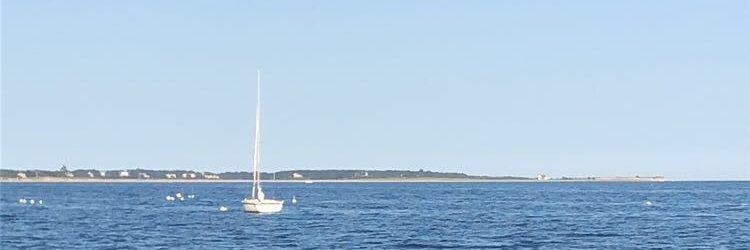 Cait banner