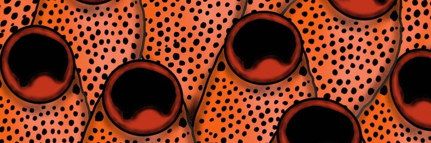 Sergio González Mora 🐚🦀 🔎🔬🦖's banner