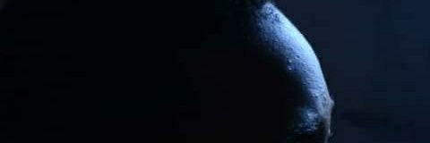 p_mtila's profile banner image