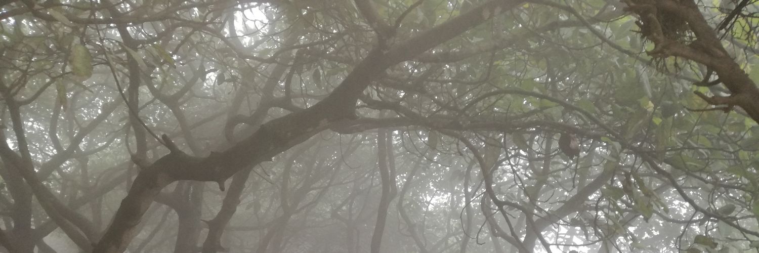 wolrob's profile banner image