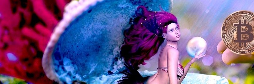 Crypto_Sea1's profile banner image